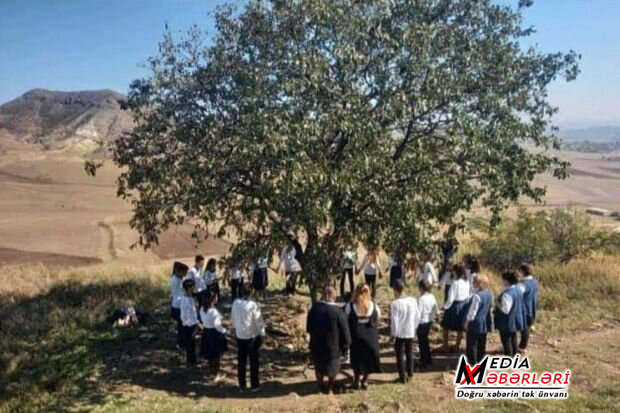 Məktəb rəhbərliyi şagirdləri pirə aparıb, “dilək ağacı” ətrafında fotosunu çəkib - FOTO