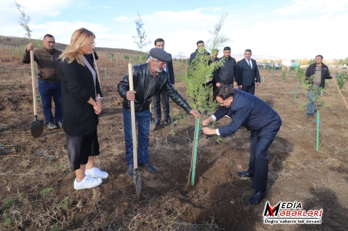 Qazaxda “Vətən Bağı” adlı ağacəkmə aksiyası keçirilib