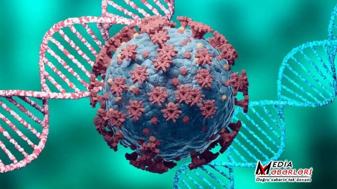 COVİD-in bu variantı haqqında qorxulu iddia: bağırsaqları yoluxdurur