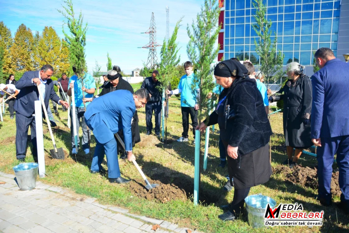 Ağstafada "Zəfər Bağı: Vətən üçün yeni nəfəs" ağacəkmə aksiyası həyata keçirilib - FOTOLAR