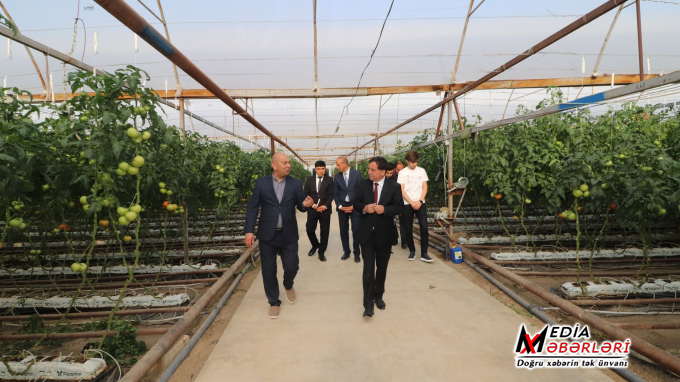 İcra başçısı “Əsədoğlu Group” MMC-yə məxsus müəssisənin təsərrüfat sahəsinin fəaliyyəti ilə tanış olub İcra başçısı “Əsədoğlu Group” MMC-yə məxsus müəssisənin təsərrüfat sahəsinin fəaliyyəti ilə tanış olub