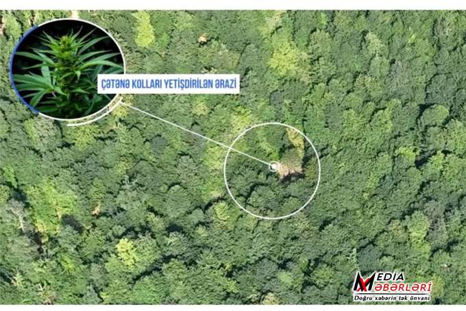 Polis dağlarda əməliyyat keçirdi: Silahlı şəxslər həbs olundu Polis dağlarda əməliyyat keçirdi: Silahlı şəxslər həbs olundu