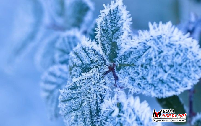 Bu qış Bakıda sərt keçə bilər - XƏBƏRDARLIQ