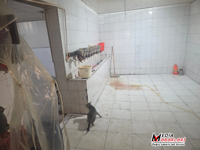 Masazırda qanunsuz fəaliyyət göstərən quş kəsimi sexi aşkarlanıb - VİDEO