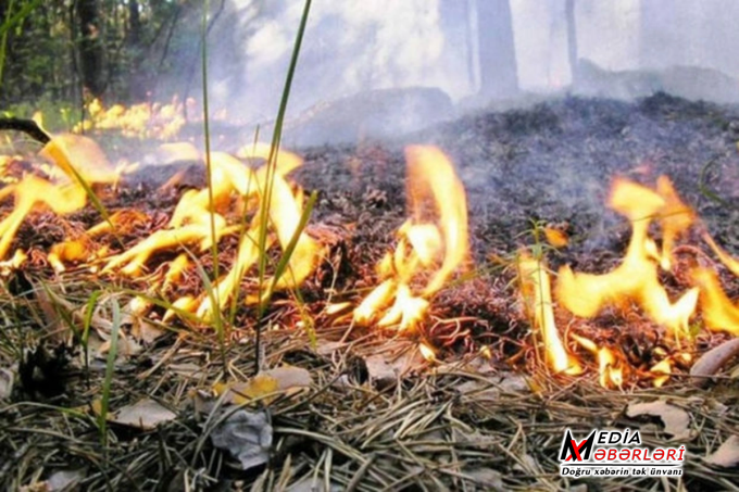 Cəbrayıl və Füzulidə başlayan yanğının ərazisi genişlənib