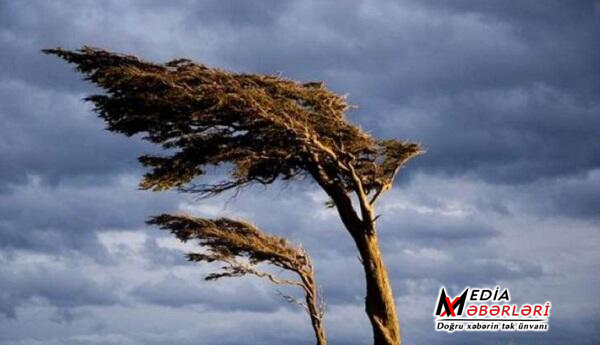 Güclü külək əsəcək - Sarı və narıncı xəbərdarlıq