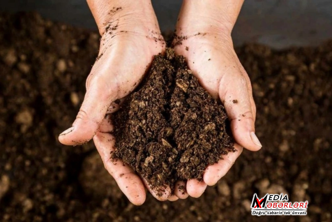 Azərbaycan Belarusdan torf tədarükünü kəskin artırıb