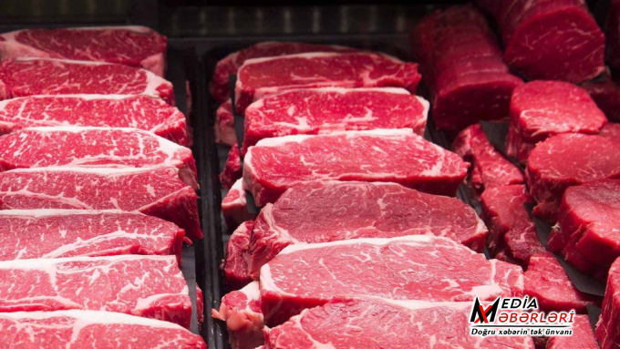 Azərbaycan bu ölkəyə 120 ton at əti SATIB