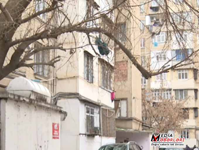 Bakıda ağac təhlükəsi: Sakinlər heç bir nəticə əldə edə bilmirlər