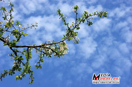 Sabah 24 dərəcə isti olacaq