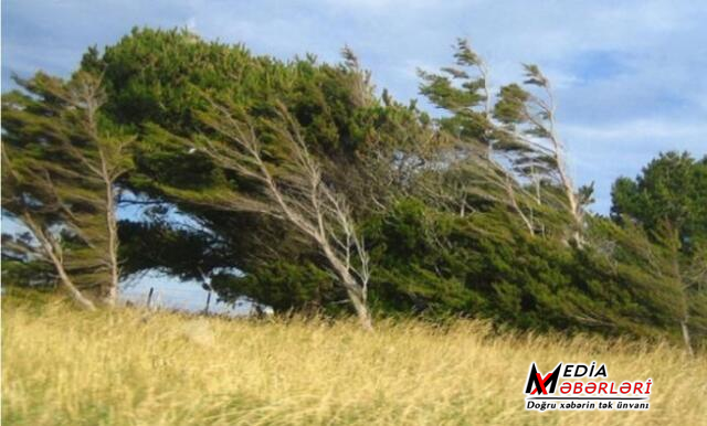 Küləkli hava ilə bağlı xəbərdarlıq edildi