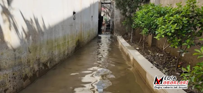 Sabunçuda evləri, həyətləri kanalizasiya suyu basıb - VİDEO