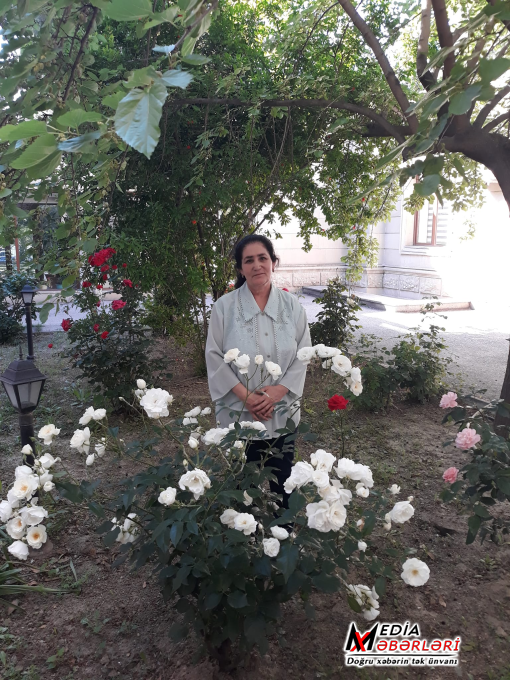 “İtirib tapacam səni” - Hicran Qayıbovanın şeirləri