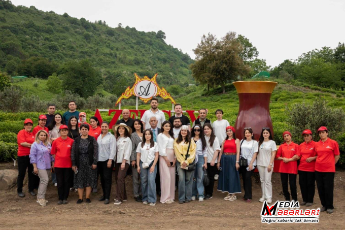 Jurnalistlər üçün çay plantasiyasına mediatur təşkil olundu - FOTO