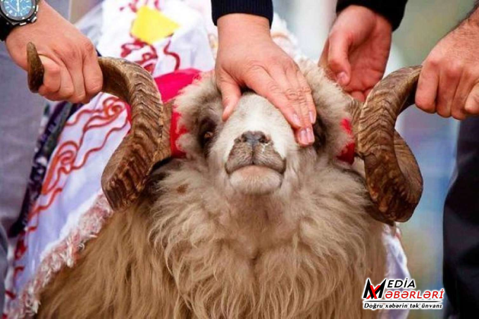 Qurban kəsərkən edilən böyük səhvlər - İllərdir yanlış bilirmişik