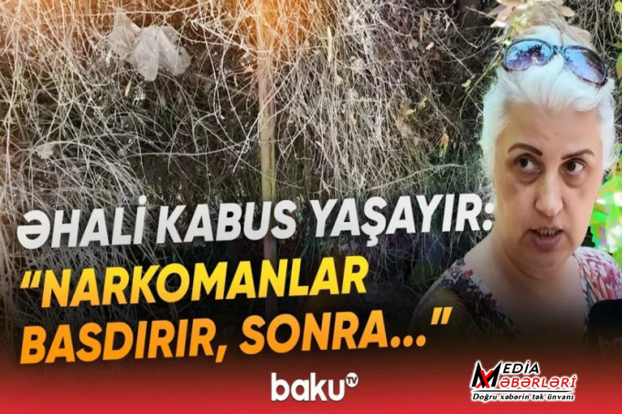 Gecə evdən çıxmağa qorxurlar: Qaraçuxurda əhali vahimə içindədir - VİDEO Gecə evdən çıxmağa qorxurlar: Qaraçuxurda əhali vahimə içindədir - VİDEO