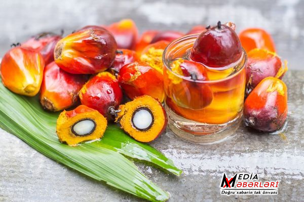 Zərərli olduğu deyilən palma yağı faydalıdır? – AÇIQLAMA