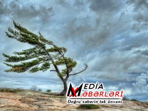 Güclü küləklə əlaqədar əhaliyə xəbərdarlıq...